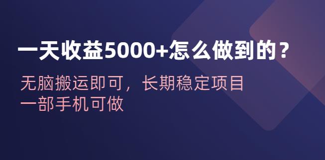 一天收益5000+怎么做到的？无脑搬运即可，长期稳定项目，一部手机可做【揭秘】-副业库