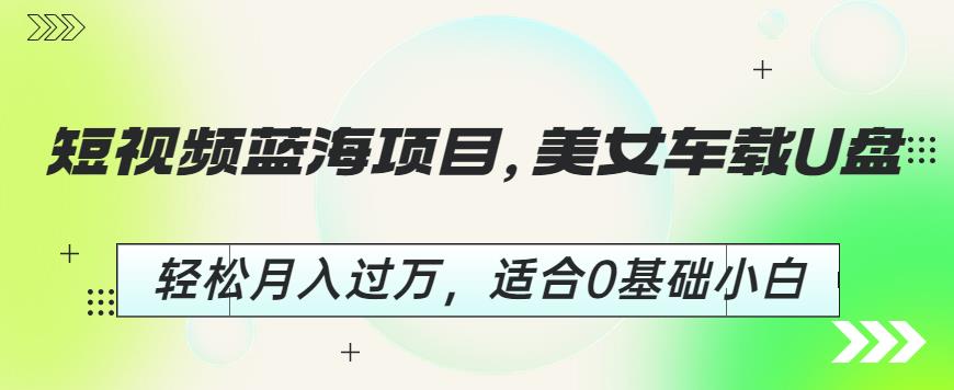 短视频蓝海项目，美女车载U盘，轻松月入过万，适合0基础小白【揭秘】-副业库