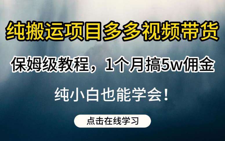 纯搬运项目多多视频带货保姆级教程，1个月搞5w佣金，纯小白也能学会【揭秘】-副业库