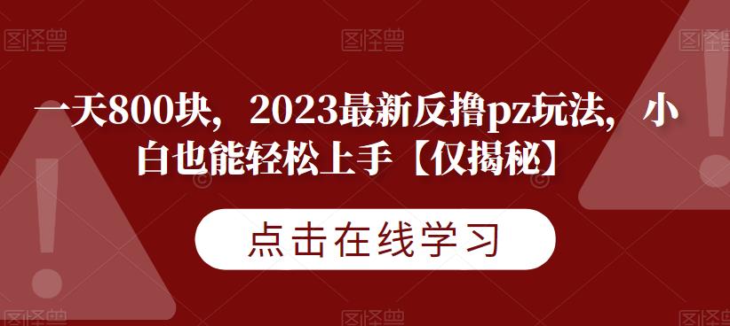 一天800块，2023最新反撸pz玩法，小白也能轻松上手【仅揭秘】-副业库