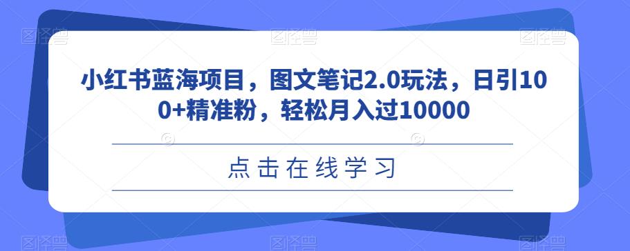 小红书蓝海项目，图文笔记2.0玩法，日引100+精准粉，轻松月入过10000【揭秘】-副业库