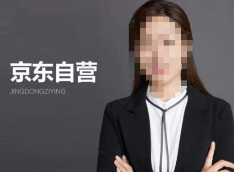 【李丽君】京东自营入门——京东从入驻到技术全套资源匹配-副业库