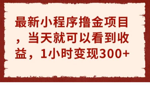 最新小程序撸金项目，当天就可以看到收益，1小时变现300+【揭秘】-副业库