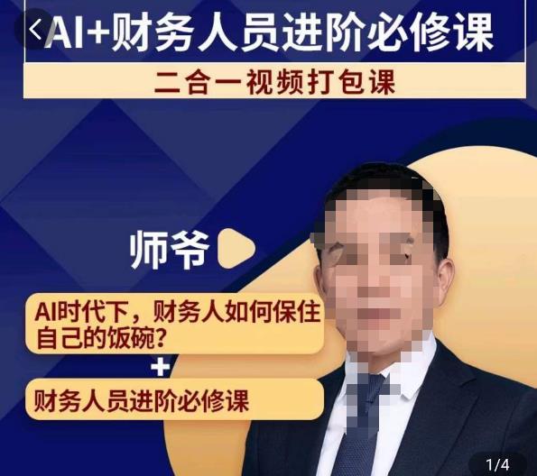 AI+财务人员进阶必修课二合一视频打包课，财务人员进阶必修课-副业库