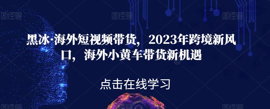 黑冰·海外短视频带货，2023年跨境新风口，海外小黄车带货新机遇-副业库
