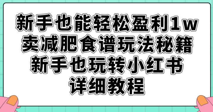 新手也能轻松盈利1w，卖减肥食谱玩法秘籍，新手也玩转小红书详细教程【揭秘】-副业库
