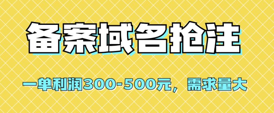 【全网首发】备案域名抢注，一单利润300-500元，需求量大-副业库
