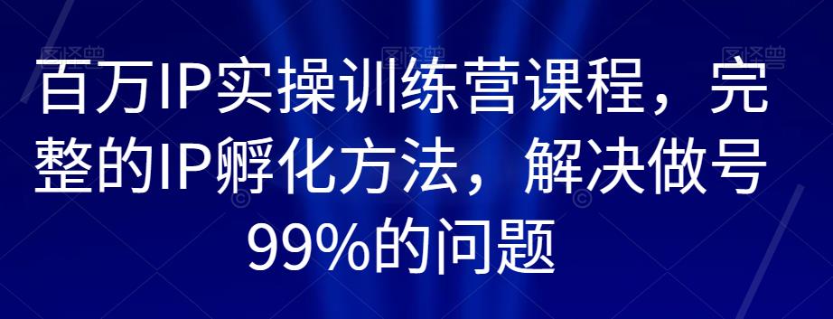 百万IP实操训练营课程，完整的IP孵化方法，解决做号99%的问题-副业库