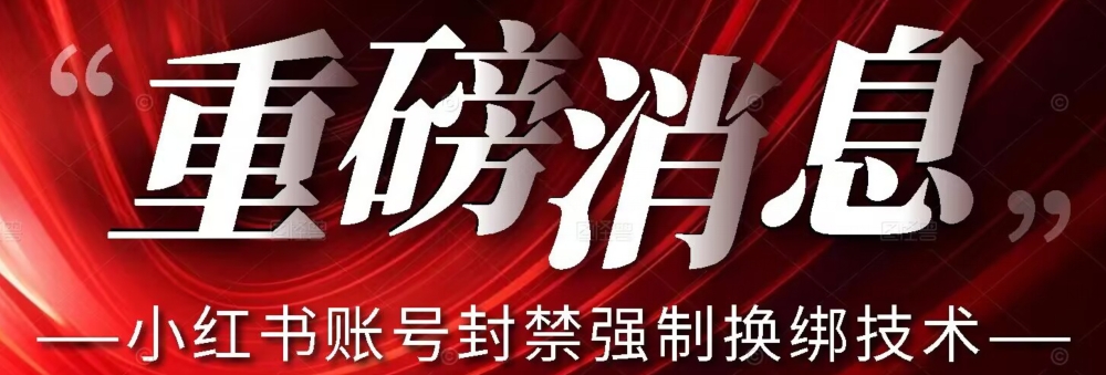 【最新】小红书账号封禁强制换绑技术可日赚300-副业库