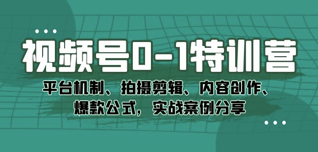 视频号0-1特训营：平台机制、拍摄剪辑、内容创作、爆款公式，实战案例分享-副业库