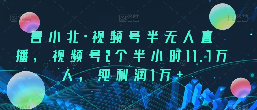 言小北·视频号半无人直播，视频号2个半小时11.7万人，纯利润1万+-副业库
