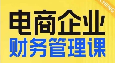 电商企业财务管理线上课，为电商企业规划财税-副业库