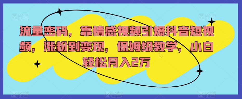 流量密码，靠情感视频引爆抖音短视频，涨粉到变现，保姆级教学，小白轻松月入2万【揭秘】-副业库
