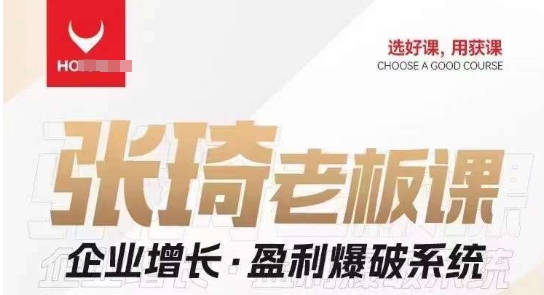 【组合课】张琦张琦老板企业增长·盈利爆破系统（直播专享）-副业库