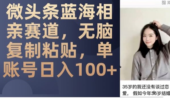 微头条蓝海相亲赛道，无脑复制粘贴，单账号日入100+-副业库