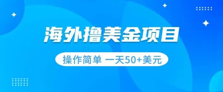 撸美金项目无门槛操作简单小白一天50+美刀-副业库