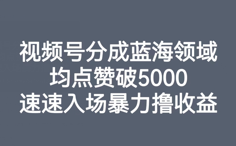 视频号分成蓝海领域，均点赞破5000，速速入场暴力撸收益-副业库