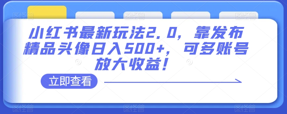小红书最新玩法2.0，靠发布精品头像日入500+，可多账号放大收益！【揭秘】-副业库