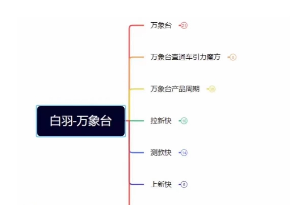 白羽·直引万搜索全篇，从0-1，多个类目实操经验总结付费-副业库