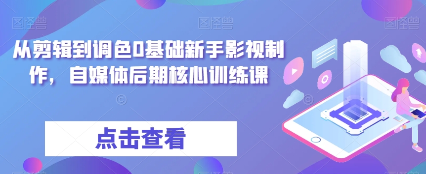 从剪辑到调色0基础新手影视制作，自媒体后期核心训练课-副业库