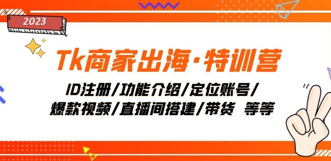 Tk商家出海·特训营：ID注册/功能介绍/定位账号/爆款视频/直播间搭建/带货-副业库