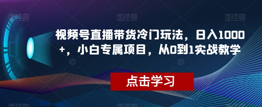 视频号直播带货冷门玩法，日入1000+，小白专属项目，从0到1实战教学【揭秘】-副业库