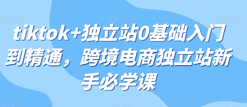 tiktok+独立站0基础入门到精通，跨境电商独立站新手必学课-副业库