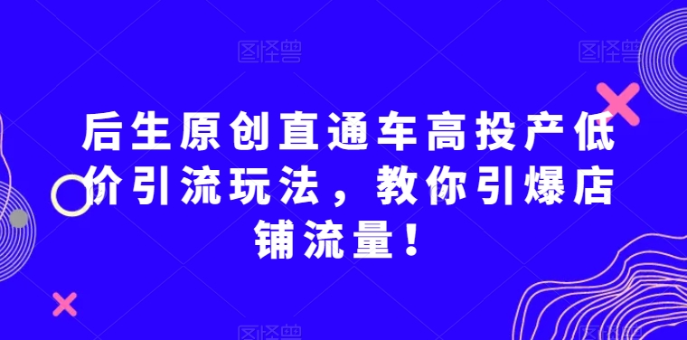 后生原创直通车高投产低价引流玩法，教你引爆店铺流量！-副业库