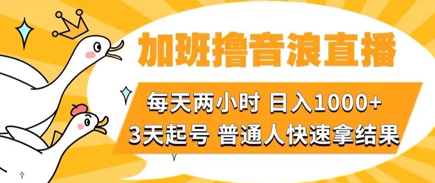 加班撸音浪直播，每天两小时，日入1000+，直播话术才3句，3天起号，普通人快速拿结果【揭秘】-副业库