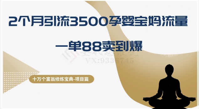 十万个富翁修炼宝典之13.2个月引流3500孕婴宝妈流量，一单88卖到爆-副业库