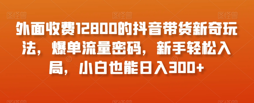 外面收费12800的抖音带货新奇玩法，爆单流量密码，新手轻松入局，小白也能日入300+【揭秘】-副业库