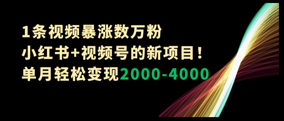 1条视频暴涨数万粉–小红书+视频号的新项目！单月轻松变现2000-4000【揭秘】-副业库