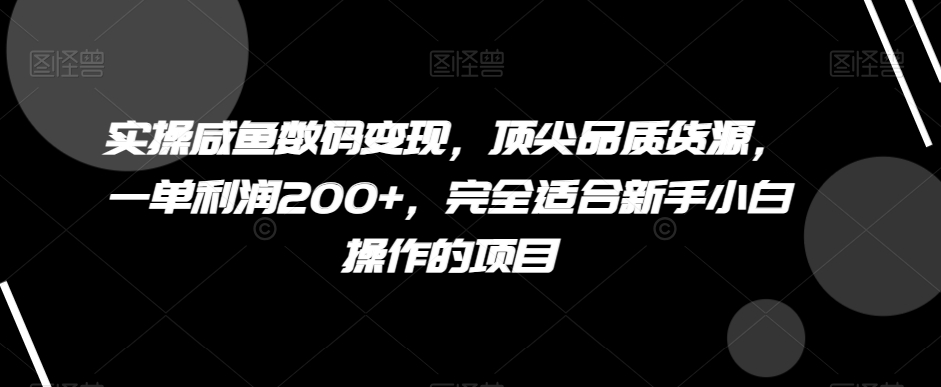 实操咸鱼数码变现，顶尖品质货源，一单利润200+，完全适合新手小白操作的项目【揭秘】-副业库
