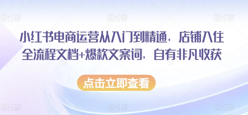 小红书电商运营从入门到精通，店铺入住全流程文档+爆款文案词，自有非凡收获-副业库
