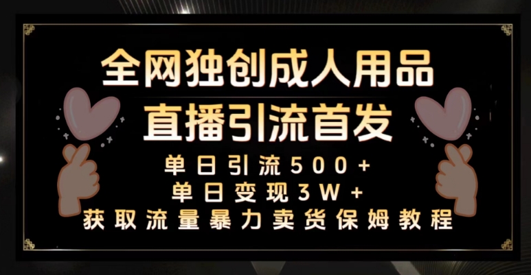全网独创真人主播+无人直播单日引流500+，橙人用品暴力卖货单日变现3W+保姆似教学2.0【揭秘】-副业库