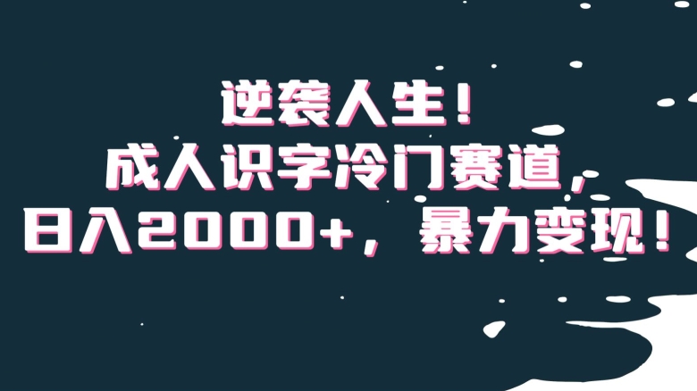 逆袭人生！成人识字冷门赛道，日入2000+，暴力变现！【揭秘】-副业库