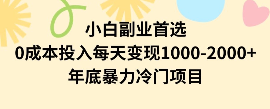 小白副业首选，0成本投入，每天变现1000-2000年底暴力冷门项目【揭秘】-副业库