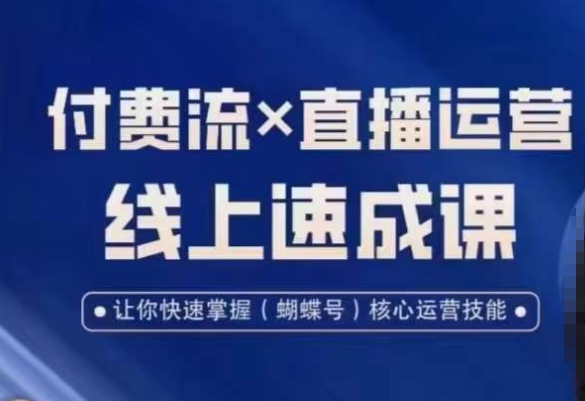 视频号付费流实操课程，付费流✖️直播运营速成课，让你快速掌握视频号核心运营技能-副业库