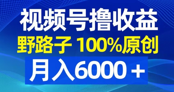 视频号野路子撸收益，100%原创，条条爆款，月入6000＋-副业库