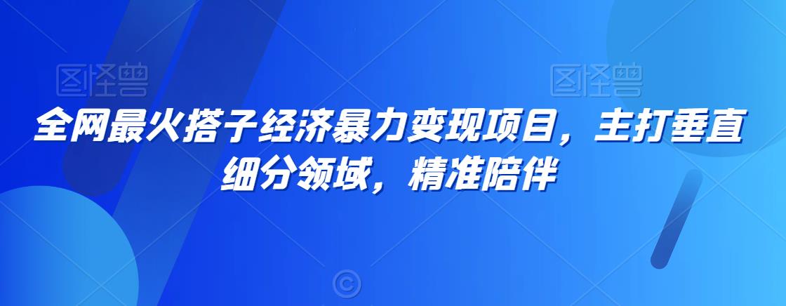 全网最火搭子经济暴力变现项目，主打垂直细分领域，精准陪伴-副业库