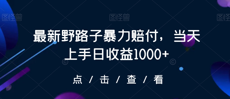 最新野路子暴力赔付，当天上手日收益1000+【仅揭秘】-副业库