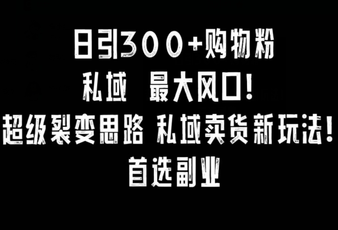 日引300+购物粉，超级裂变思路，私域卖货新玩法，小红书首选副业-副业库