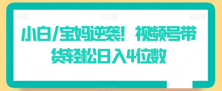 小白/宝妈逆袭！视频号带货轻松日入4位数-副业库