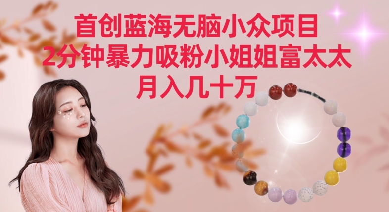 首创蓝海无脑小众项目，2分钟暴力吸粉小姐姐富太太，月入几十万-副业库