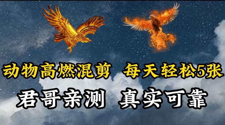 动物超燃混剪，每天轻松5张，剪辑简单大家爱看-副业库