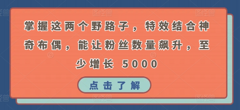 掌握这两个野路子，特效结合神奇布偶，能让粉丝数量飙升，至少增长 5000-副业库