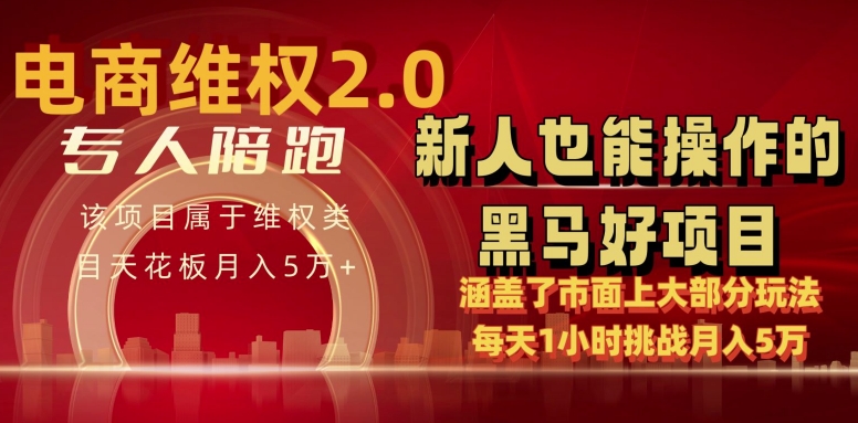 电商维权 4.0 如何做到月入 5 万+每天 1 小时新人也能快速上手【仅揭秘】-副业库