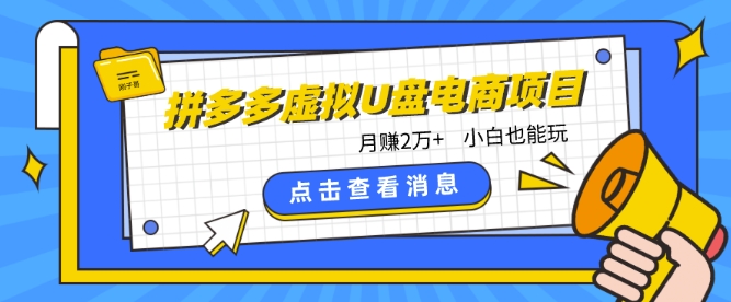 拼多多虚拟U盘电商红利项目：月赚2万+，新手小白也能玩-副业库