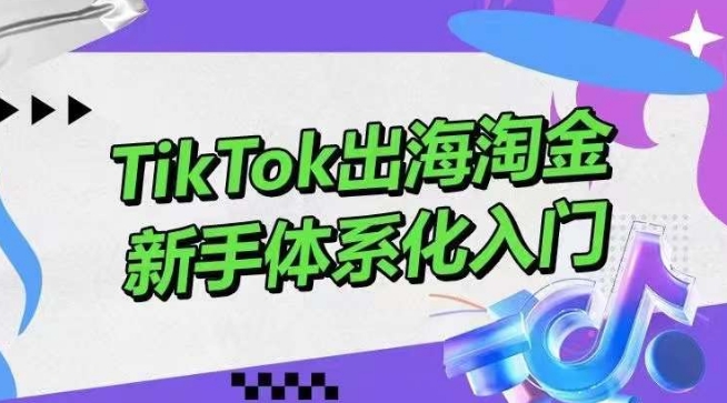 TikTok出海淘金，新手体系化入门，零基础快速入门，掌握短视频、直播带货等引流到变现的知识-副业库
