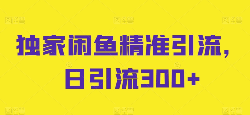 独家闲鱼精准引流，日引流300+-副业库